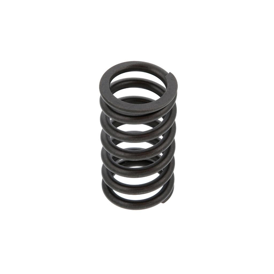 392045 Caterpillar 3176 / C10 / C13 Outer Valve Spring