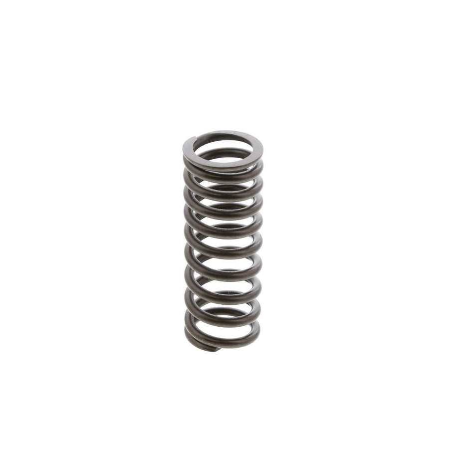 392046 Caterpillar 3176 / C10 / C13 Inner Valve Spring