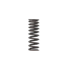 INNER VALVE SPRING