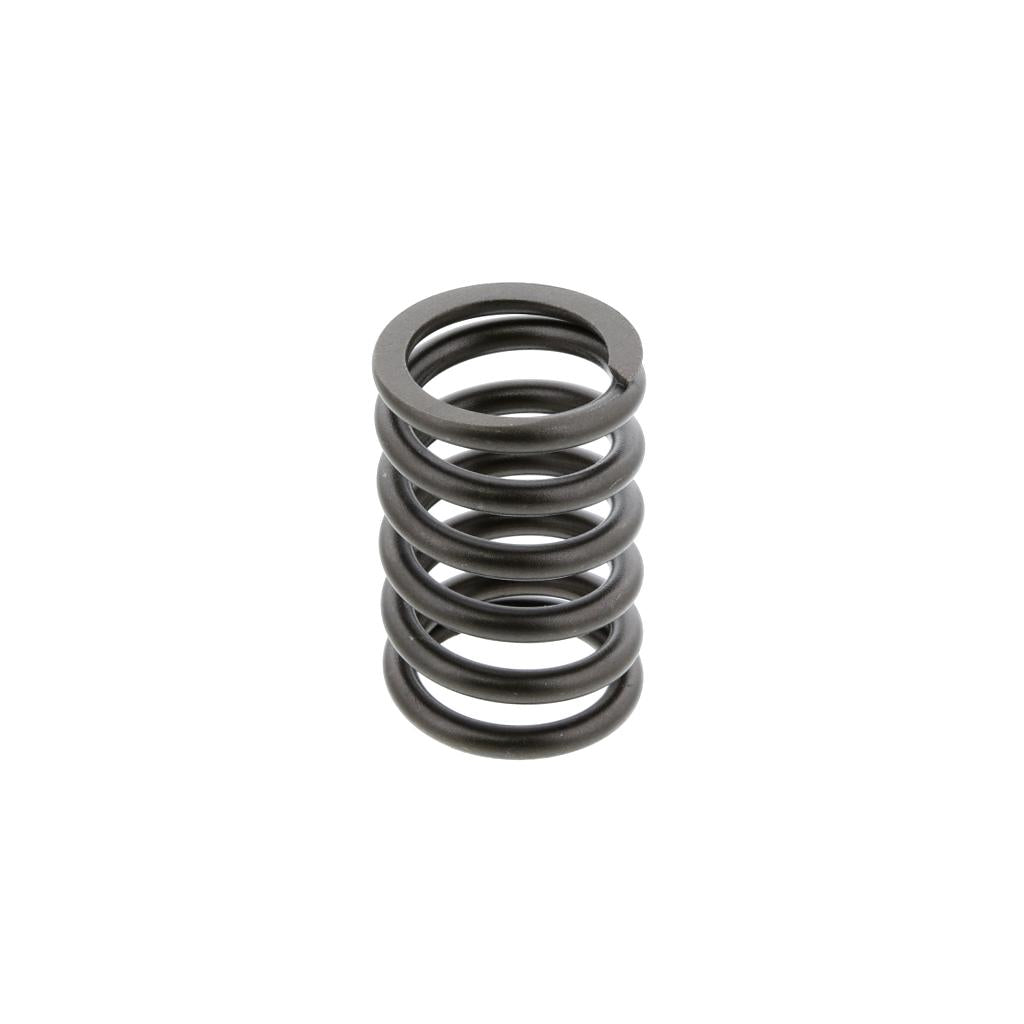 VALVE SPRING