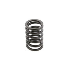 VALVE SPRING
