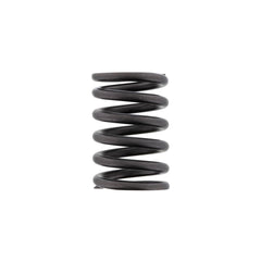 VALVE SPRING