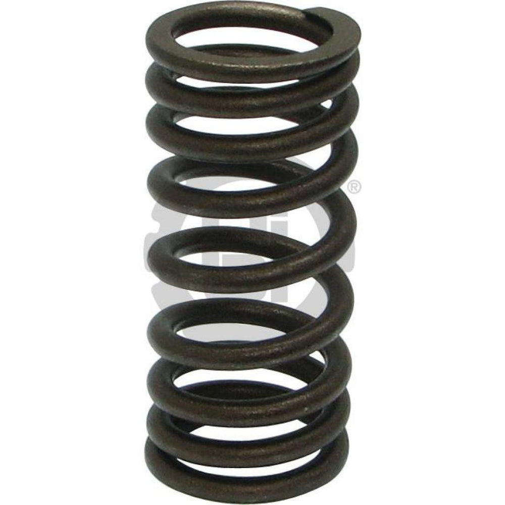 OUTER VALVE SPRING