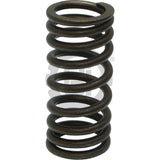OUTER VALVE SPRING