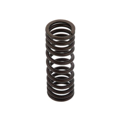 INNER VALVE SPRING