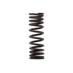INNER VALVE SPRING