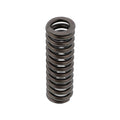 Caterpillar 3100 / C7 Exhaust Valve Spring