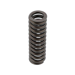EXHAUST VALVE SPRING