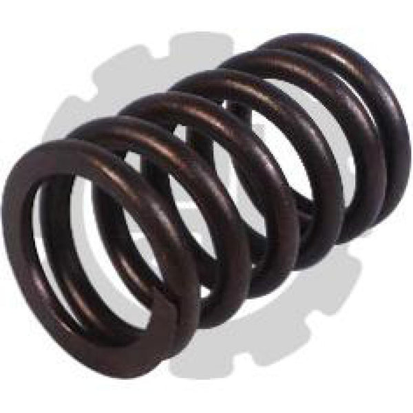 VALVE SPRING