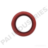 421043 International Inlet Hose | PAI
