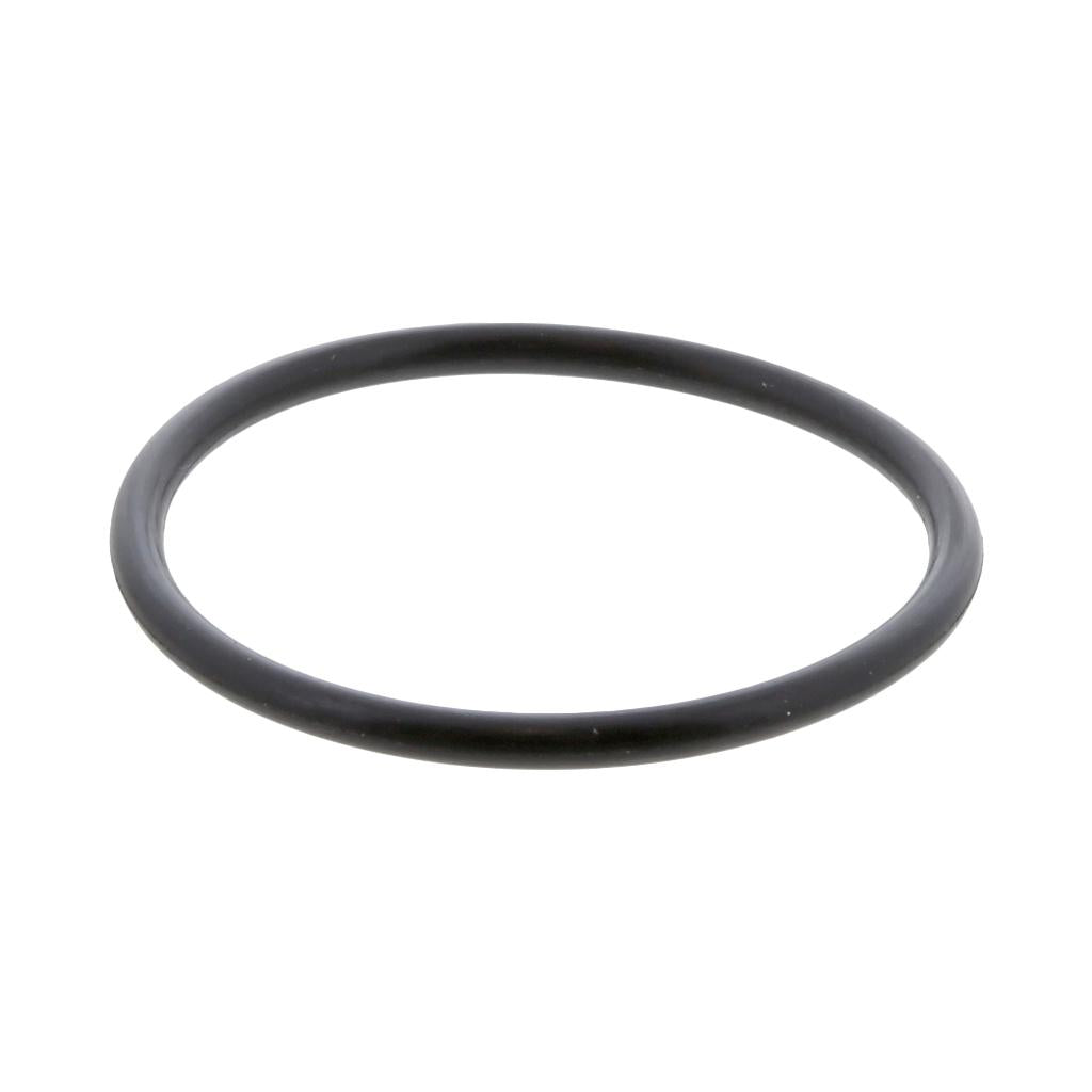 International / Navistar O-RING (Pack of 6)