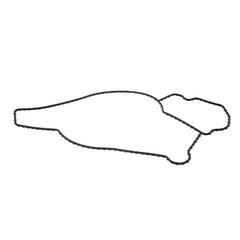 WATER PUMP GASKET