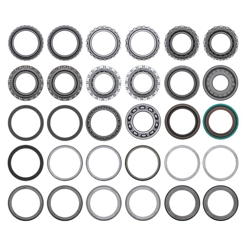 BEARING AND SEAL KIT