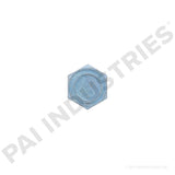 442052 International Plug | PAI
