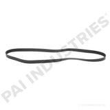 450481 International Serpentine Belt | PAI