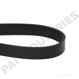450481 International Serpentine Belt | PAI