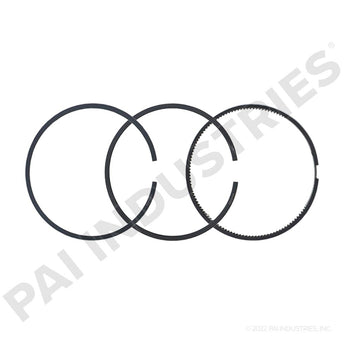505083 Cummins Ring | PAI