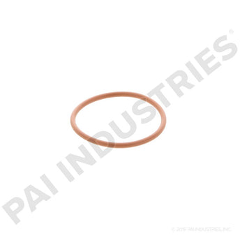 621216 Detroit O-Ring | PAI