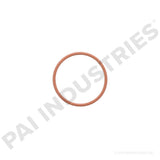 621216 Detroit O-Ring | PAI