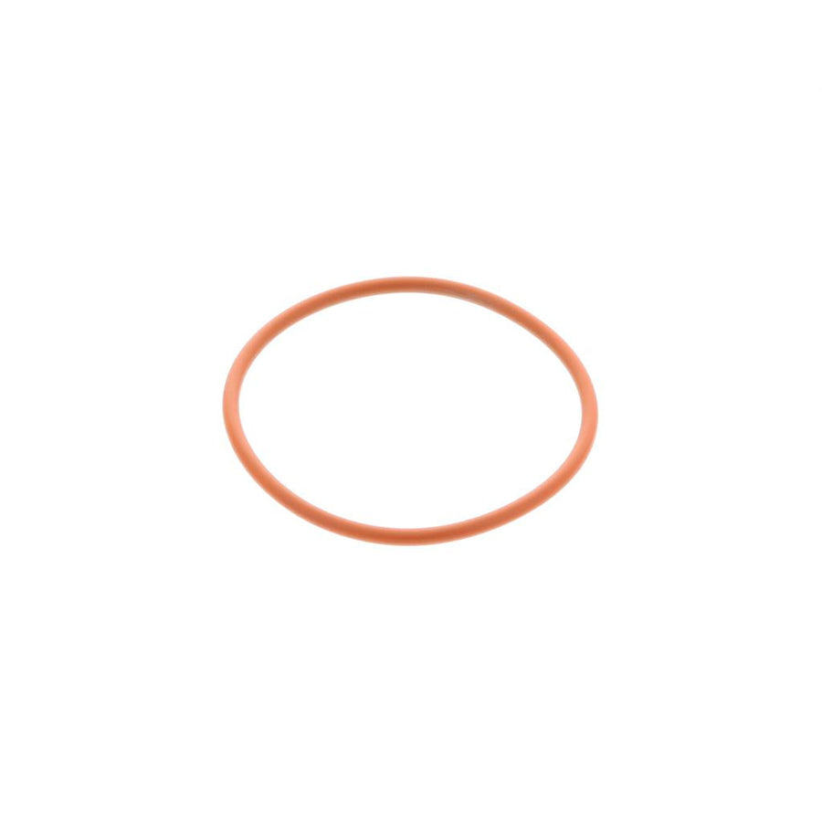 621218 Detroit O-Ring