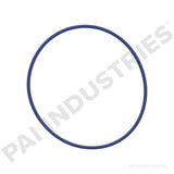 621219 Detroit O-Ring | PAI