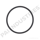 621226 Detroit Piston Seal | PAI
