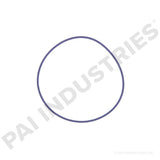 621228 Detroit Liner Seal | PAI
