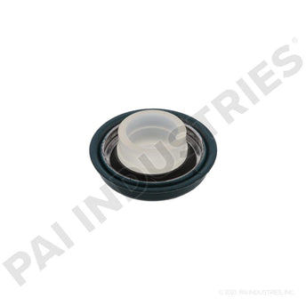621232 Detroit Seal | PAI