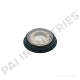 621232 Detroit Seal | PAI