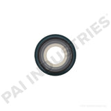 621232 Detroit Seal | PAI