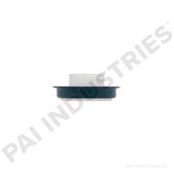 621232 Detroit Seal | PAI
