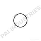 621248 Detroit O-Ring | PAI