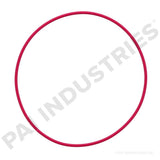 621250 Detroit O-Ring | PAI
