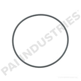 621255 Detroit O-Ring | PAI