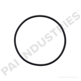 621259 Detroit O-Ring | PAI