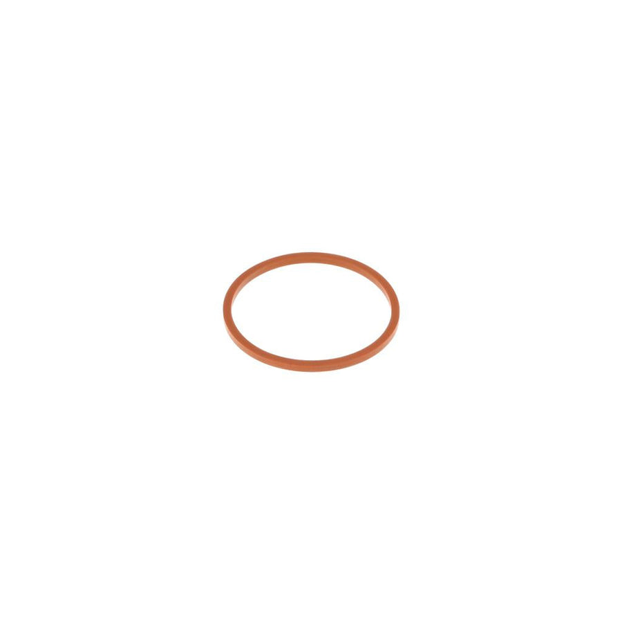 621261 Detroit Rectangular Sealing Ring