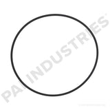 621264 Detroit Rectangular Sealing Ring | PAI