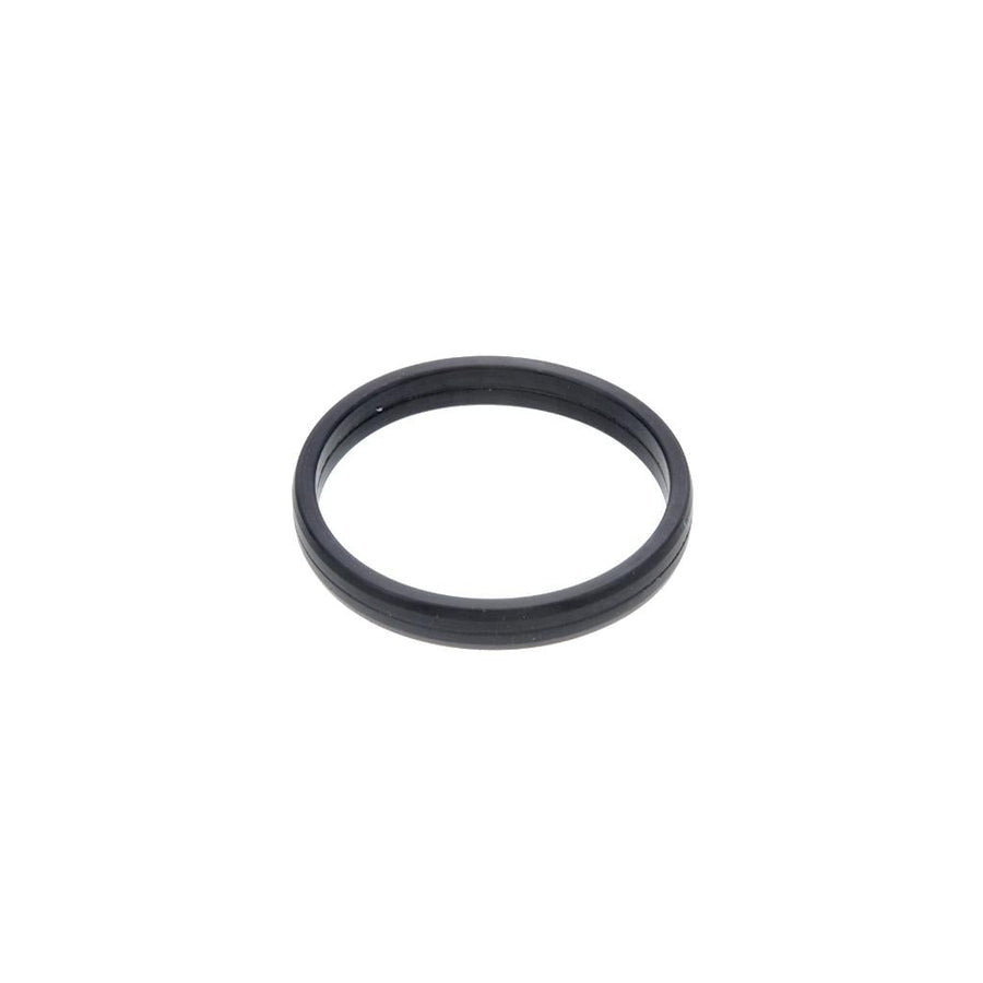 621286 Detroit Seal Ring
