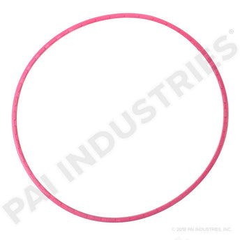 631300 Detroit Cam Thrust Plate Seal | PAI
