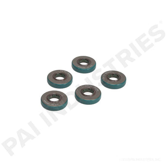 636025 Detroit Seal | PAI