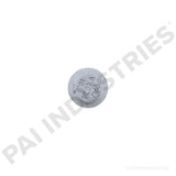 640019 Detroit Screw | PAI