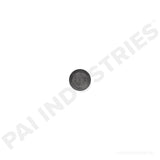 640029 Detroit Screw | PAI