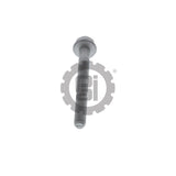 640043 Detroit Screw | PAI