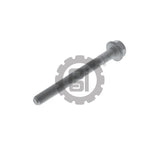 640043 Detroit Screw | PAI