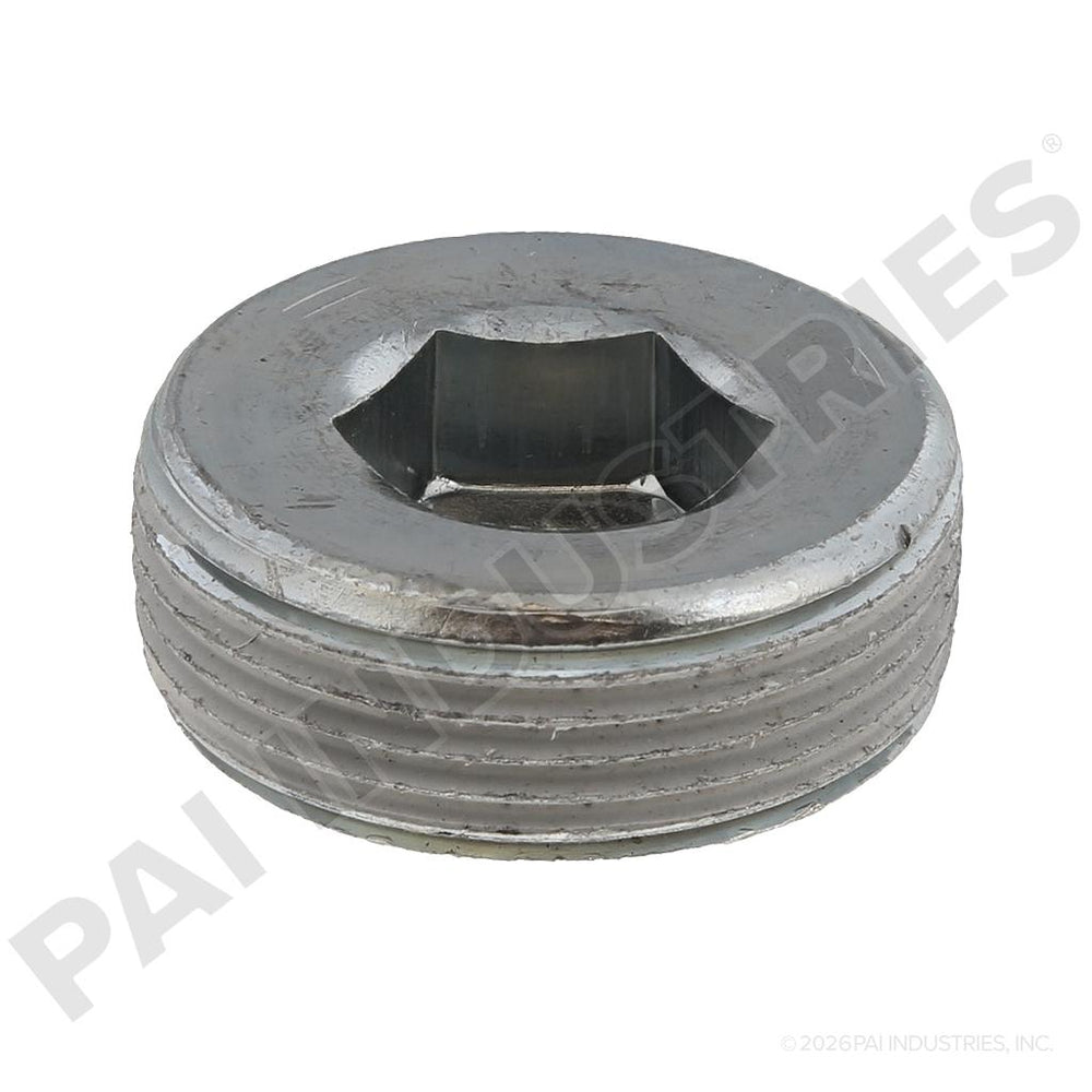 PIPE PLUG