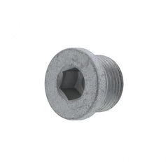 DRAIN PLUG