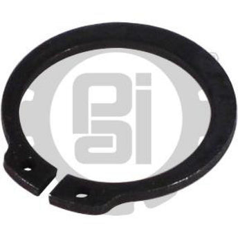 642012 Detroit Retaining Ring | PAI