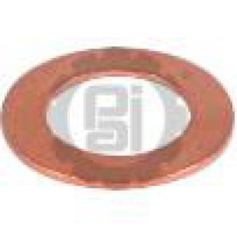 642052 Detroit Copper Flat Washer | PAI