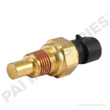 650656 Detroit Temperature Sensor | PAI