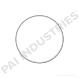 661604 Detroit Repair Ring | PAI